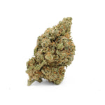Fleur de chanvre CTX Amnesia Haze KushFlow, le grand classique en version ultra-puissante et 100% légale.