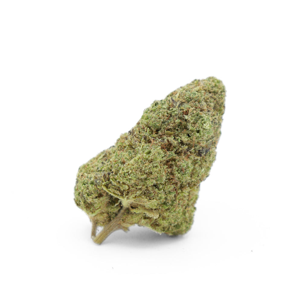 Fleur CTX Plutonium OG KushFlow, variété puissante au profil terpénique riche pour un high légal intense.