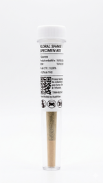 Fleur de chanvre CTX Specimen #01 KushFlow, format préroll premium prêt-à-l'emploi et 100% légal.