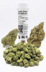 Pack Découverte Le Protocole Initial KushFlow, kit de démarrage CTX complet avec sélection de fleurs premium.